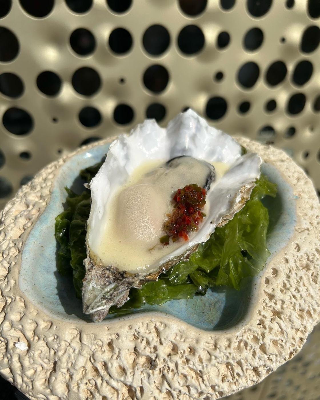 Ostra sobre algas